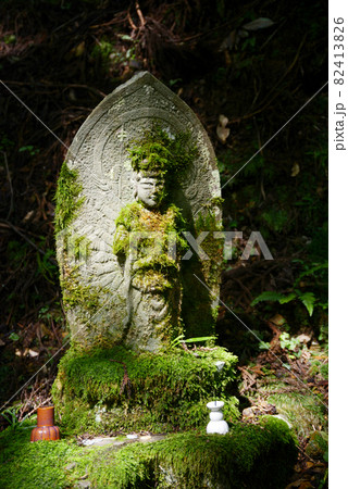 比叡山延暦寺　西塔　参道の石仏　滋賀県大津市坂本 82413826
