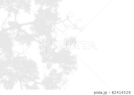 Shadow of leaves and branch on white background 82414529