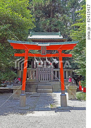 箭弓稲荷神社(東松山) 箭弓稲荷神社(東松山) 82415417