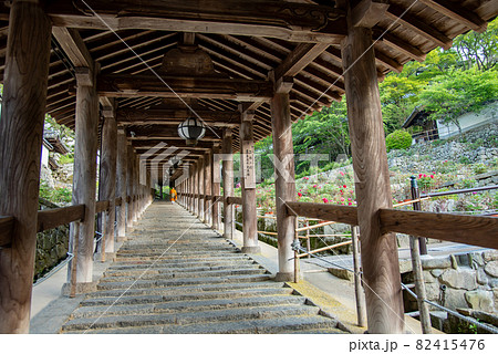 奈良県桜井市　長谷寺の回廊横に咲く牡丹の花とお坊さん 82415476