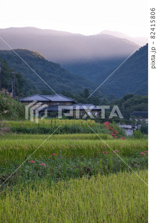 朝の光が差し込む横瀬町の風景《秩父郡》 朝の光が差し込む横瀬町の風景《秩父郡》 82415806