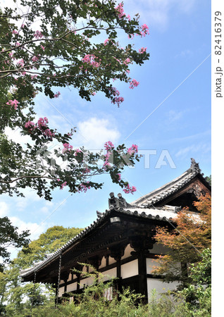海龍王寺(本堂)  【奈良県奈良市法華寺町】 82416379