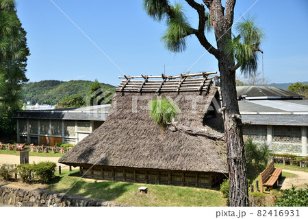 和歌山県立紀伊風土記の丘(竪穴住居、後方が資料館) 【和歌山県和歌山市】 和歌山県立紀伊風土記の丘(竪穴住居、後方が資料館) 【和歌山県和歌山市】 82416931