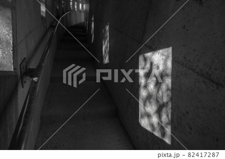 鹿児島県霧島市の千里ヶ滝に至る風景 暗いトンネルと遊歩道 鹿児島県霧島市の千里ヶ滝に至る風景 暗いトンネルと遊歩道 82417287