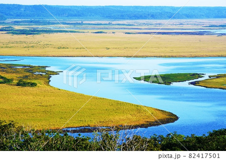 琵琶瀬展望台　霧多布湿原　霧　北海道浜中町 82417501