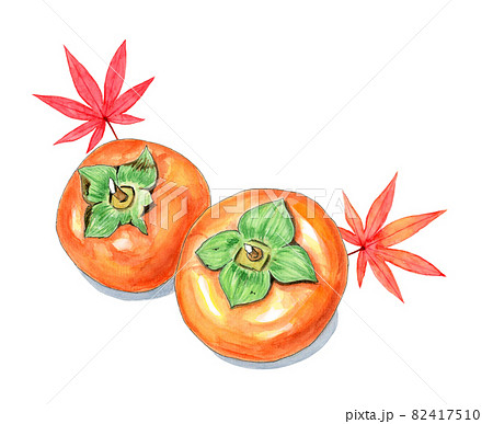 柿とモミジ【手描き水彩画】 82417510