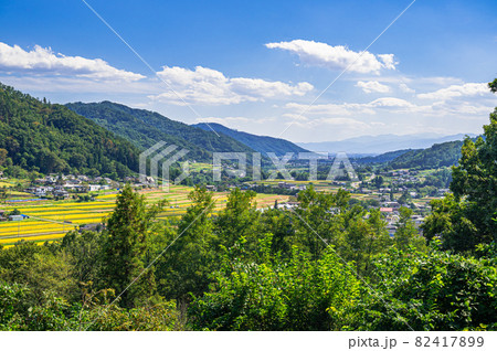 北陸郷から安曇野市の初秋の田園風景 北陸郷から安曇野市の初秋の田園風景 82417899