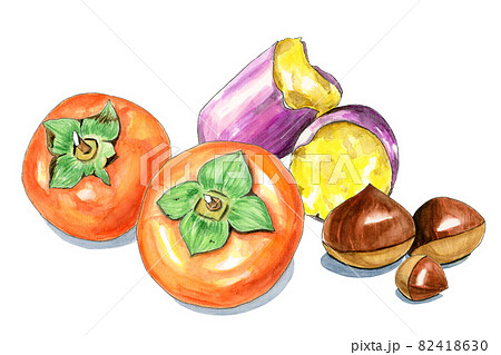 秋の味覚イメージ【手描き水彩画】 82418630
