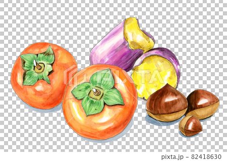 秋の味覚イメージ【手描き水彩画】 82418630