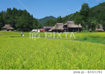 稲穂実る、荻ノ島環状かやぶき集落 82421762