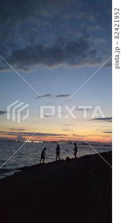 海と貝殻 海と貝殻 82421952
