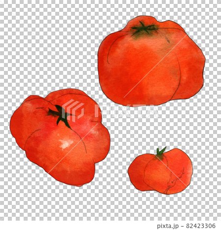 ふぞろい野菜のトマト 透明水彩 ふぞろい野菜のトマト 透明水彩 82423306