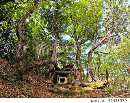 尾鈴神社の祠 尾鈴神社の祠 82423579