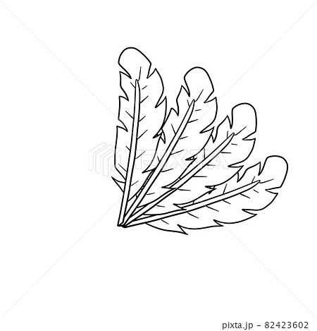 Bird feather. Plumage of flying animal. Decorative element. 82423602
