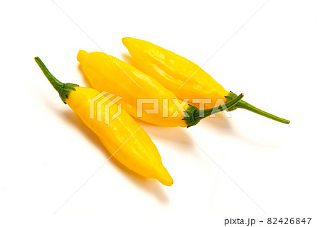 唐辛子のレモンドロップ 82426847