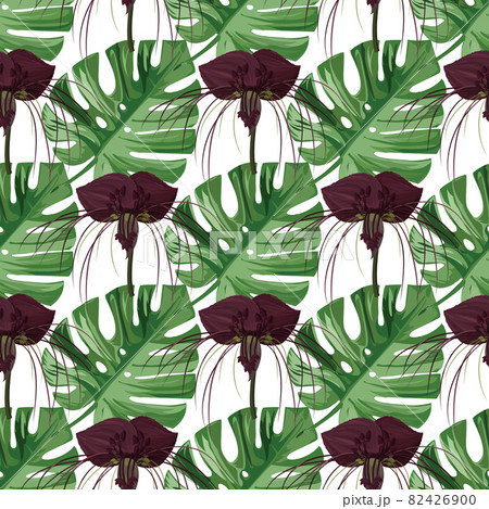Seamless pattern with monstera leaves and tacca orchid flowers. Natural realistic background. Seamless pattern with monstera leaves and tacca orchid flowers. Natural realistic background. 82426900