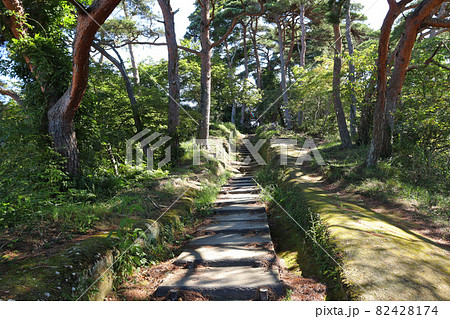 風情ある奥松島の道の風景 大高森展望台に登る道 宮城県東松島市宮戸島 風情ある奥松島の道の風景 大高森展望台に登る道 宮城県東松島市宮戸島 82428174