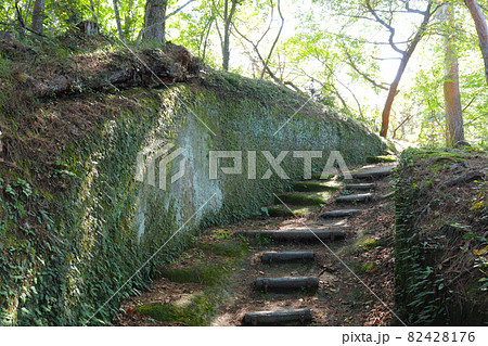 風情ある奥松島の道の風景 大高森展望台に登る道 宮城県東松島市宮戸島 風情ある奥松島の道の風景 大高森展望台に登る道 宮城県東松島市宮戸島 82428176