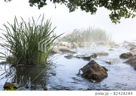 River with rapids in the early morning fog. River with rapids in the early morning fog. 82428284