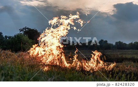 A fire burns in a field with dry grass. 82428320