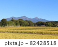 八ヶ岳の秋 82428518