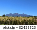 実りの八ヶ岳 82428523