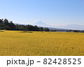 ゴールデンカーペット富士 82428525