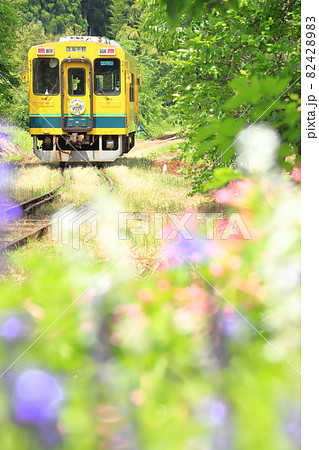 初夏の「いすみ鉄道」総元駅 82428983