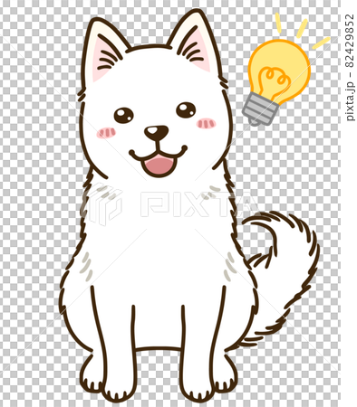 思い付く北海道犬（白）のイラスト素材 [82429852] - PIXTA