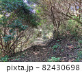 山の中の道 山の中の道 82430698