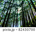 山の木々 山の木々 82430700