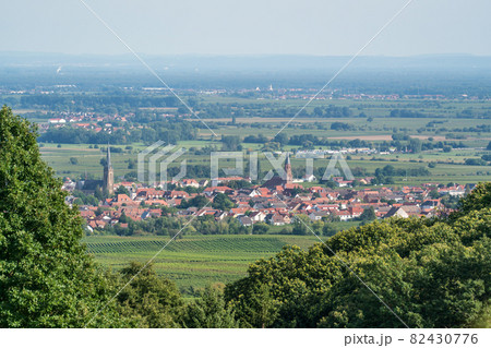Small village at the southern wine route in Rhineland-Palatinate 82430776