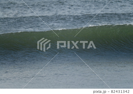 移住　海近く 82431342