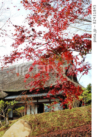 赤いもみじの向こうに茅葺屋根の古民家　春風萬里荘 82431845