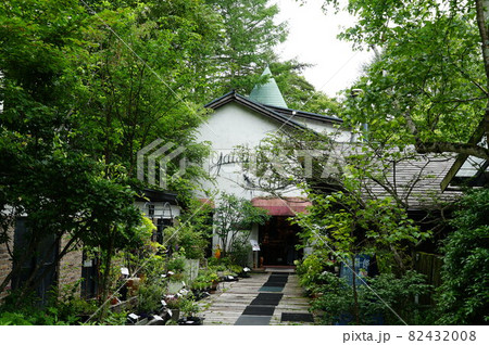 気楽に行った八ヶ岳の一泊旅行です。　八ヶ岳倶楽部。　緑が満ちた空間がありました、　ゆったりしてきまし 82432008