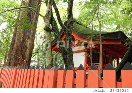 奈良の風景 82432016