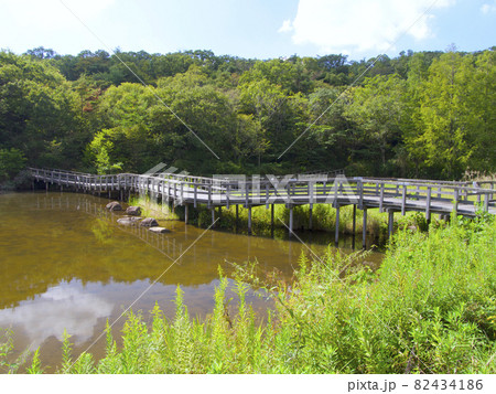 仁川渓谷の上流域・広川原の「甲山なかよし池」/兵庫県西宮市 82434186