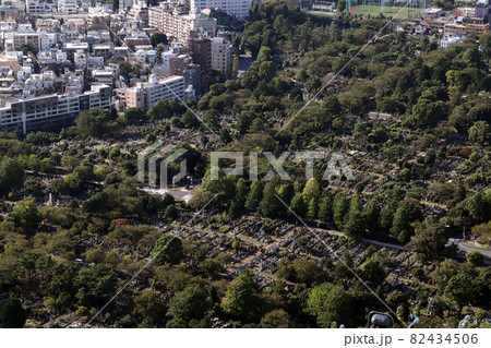 <東京都>青山霊園 <東京都>青山霊園 82434506