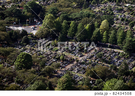 <東京都>青山霊園 <東京都>青山霊園 82434508