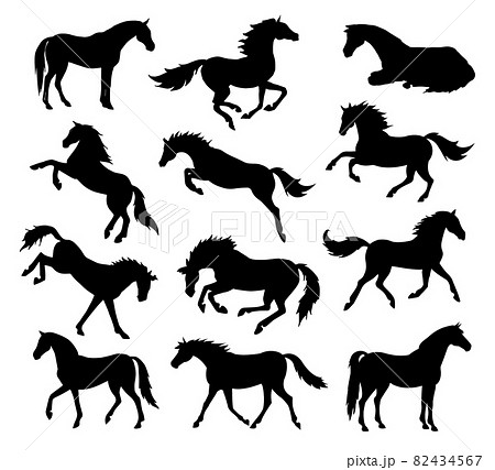 Vector set bundle of hand drawn horse silhouette 82434567