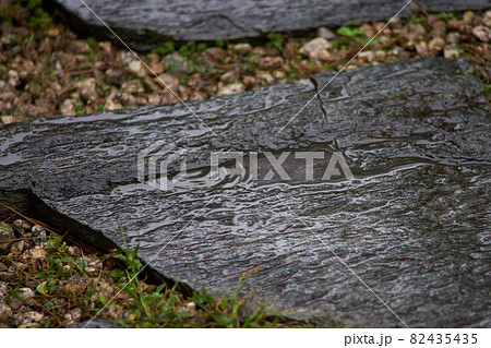 波紋 波紋 82435435