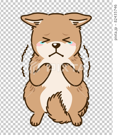 Frightened Hokkaido dog (red) 82435746