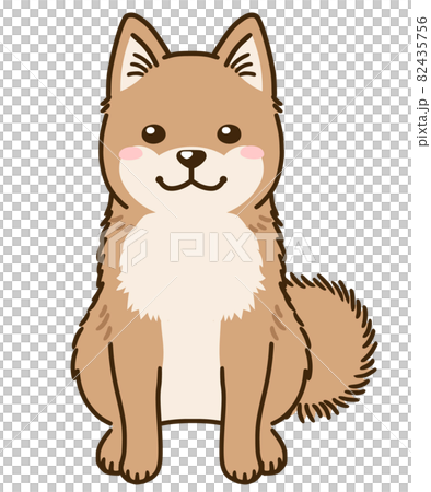 北海道犬（紅色） 82435756