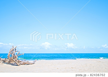 ビーチの流木と青い海 ビーチの流木と青い海 82436702