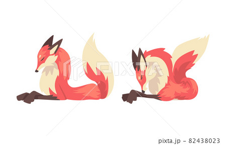 Fox Animal with Upright Ears, Pointed Snout and Long Bushy Tail in Different Poses Vector Set 82438023