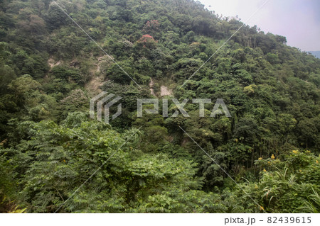 View of forest and mountain in national park in taiwan View of forest and mountain in national park in taiwan 82439615