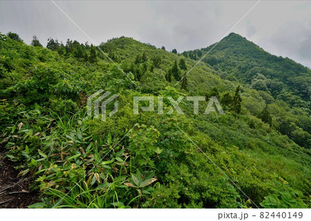 御神楽岳登山道からの山頂 御神楽岳登山道からの山頂 82440149