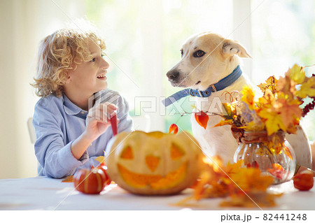 Family carving pumpkin for Halloween 82441248