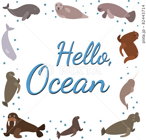 Frame template with cartoon sea animals. Ocean background with square silhouette. Underwater life. Seal, walrus, beluga and dugon Frame template with cartoon sea animals. Ocean background with square silhouette. Underwater life. Seal, walrus, beluga and dugon 82443714