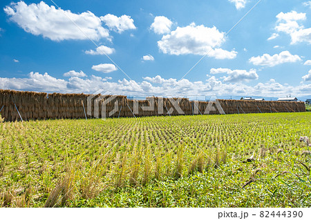 稲刈り後の田んぼの風景 石川県能美市 稲刈り後の田んぼの風景 石川県能美市 82444390